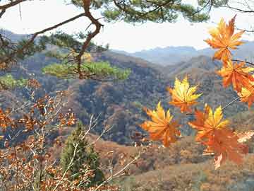 兰家堡村委会最新天气预报